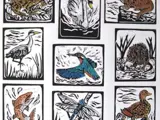 grpahic of nine wildlife animals painted on a white background, including an otter, dragonfly, duck, fish, swan, frog, water vole, kingfisher and heron