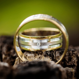 close up of wedding rings with green background