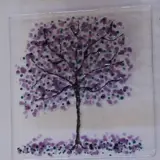 a piece of art made from glass fusing to create a tree
