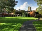 sunny garden with large wooden pergola in stage formation.
