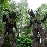 two trees looking like they have craved faces and look scary - there are tree giants