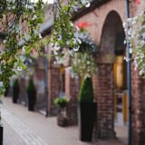 focus on hanging basket flowers against out of focus red brick arches 