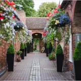Colourful hanging baskets in shambles